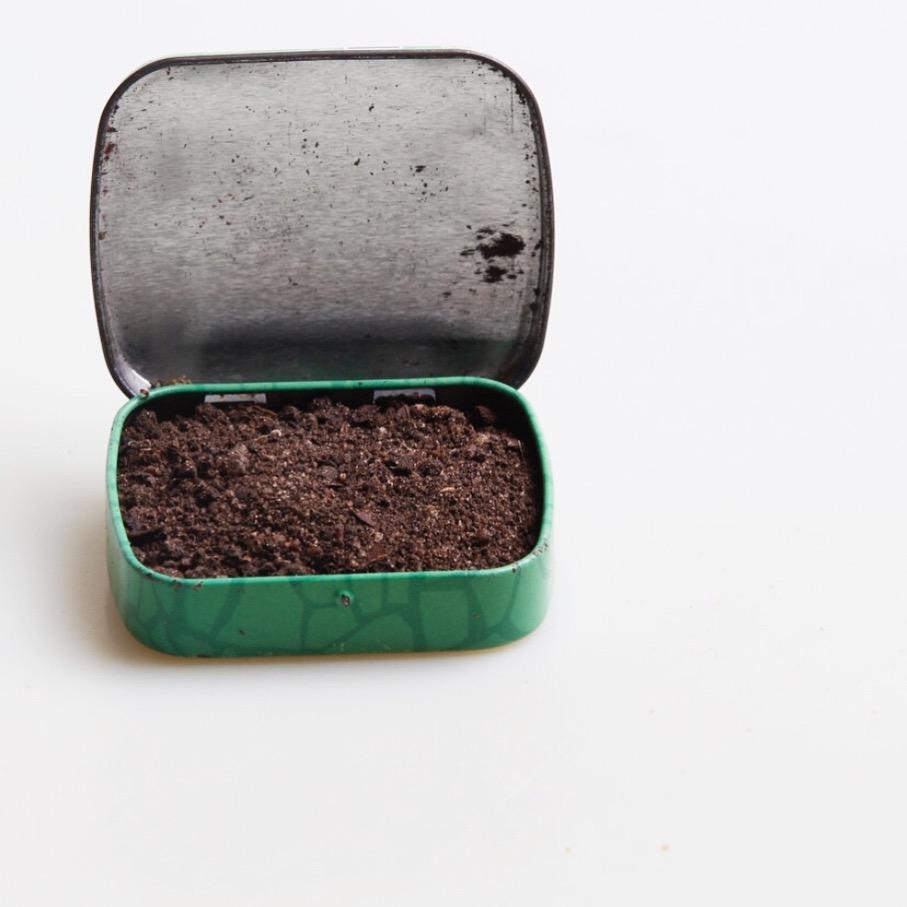 Are Organic Beauty Products Worth the Hype?