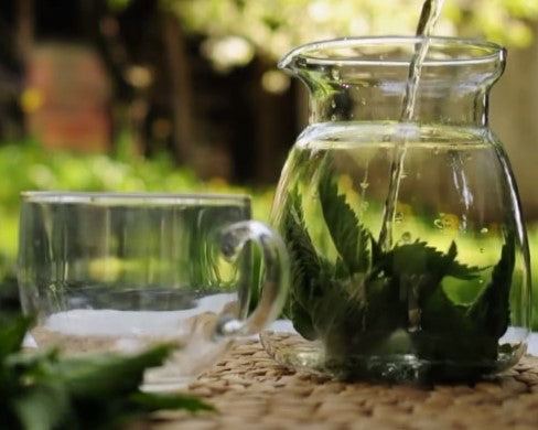 The Benefits of Nettle Hair Tonic - Plus Easy DIY