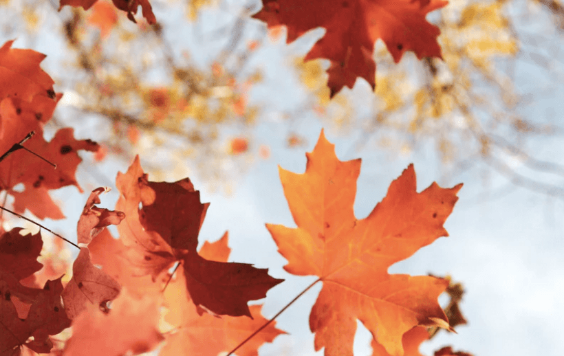 The seasons of your cycle: Self-care tips for different times during the month