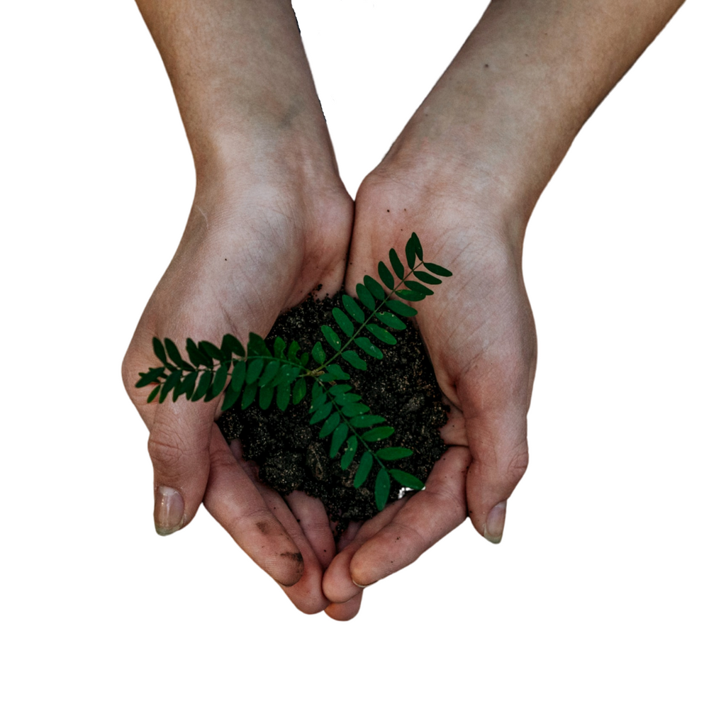 5 Ways To Reduce Your Carbon Footprint