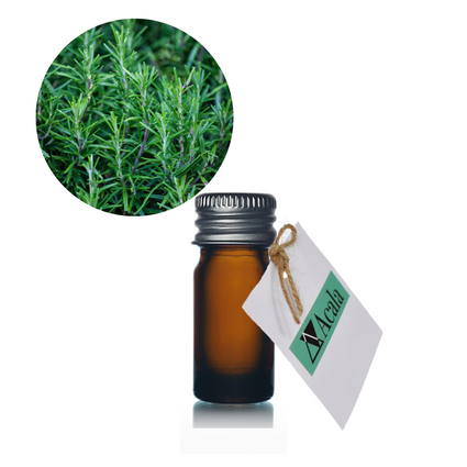 Organic Rosemary Antioxidant CO2 Extract