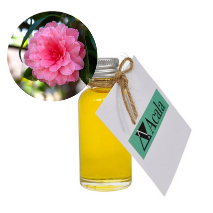 Camellia seed oil - Acala