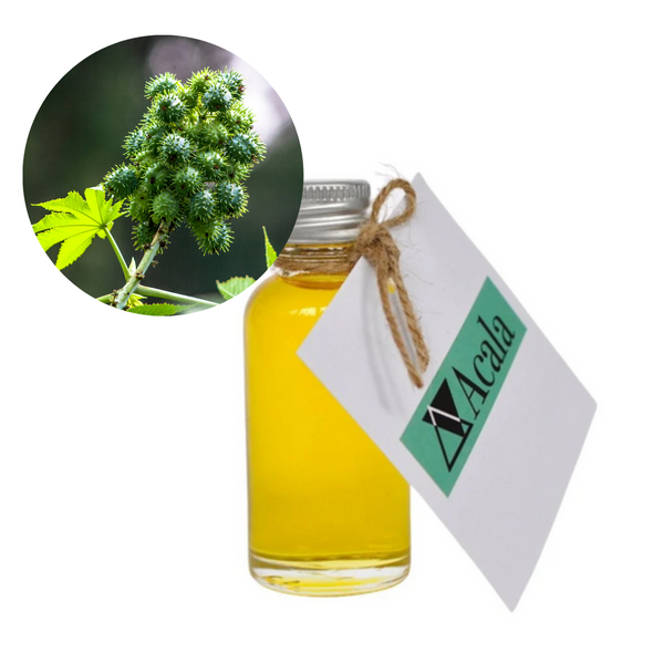 Organic Castor Oil image 1