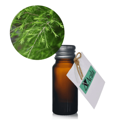 organic Tea Tree essential oil - Acala